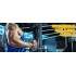 12- Weeks Bulking Cycle