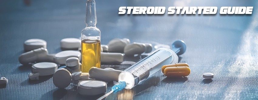 Steroid Starter Guide