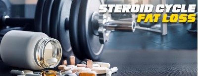 Steroid Cycle For Fat Loss